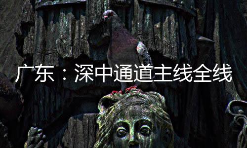 进入道主灯，倒计中通线全线亮通车深时广东